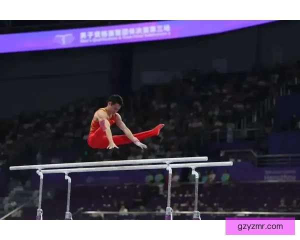 前游泳奥运金牌再战江湖 叶诗文屈银却赢最大掌声